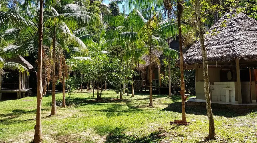 San Miguel del Bala: comunidad amazónica que convierte la selva en sustento y turismo