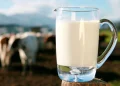 Advierten que el precio actual de la leche es ‘insostenible’ y alertan cierre de granjas