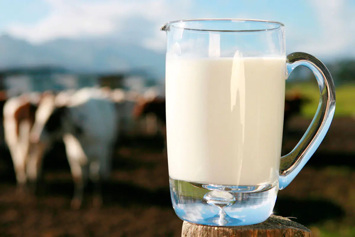 Advierten que el precio actual de la leche es ‘insostenible’ y alertan cierre de granjas
