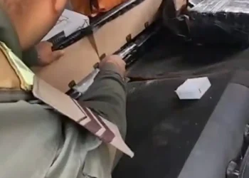 Se encontraron varios paquetes con cocaína/Gendarmería Argentina