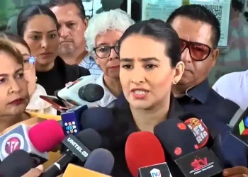 Paola Aguirre realizó una verificación del avance de la transición/Captura de pantalla