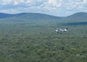 La narcoavioneta supuestamente huyó a territorio boliviano/FAP