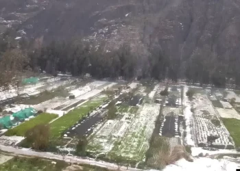 Una granizada dejó los cultivos dañados en Huajchilla. FOTO: RRSS
