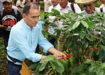 Bolivia se encamina a tercer año consecutivo de decrecimiento