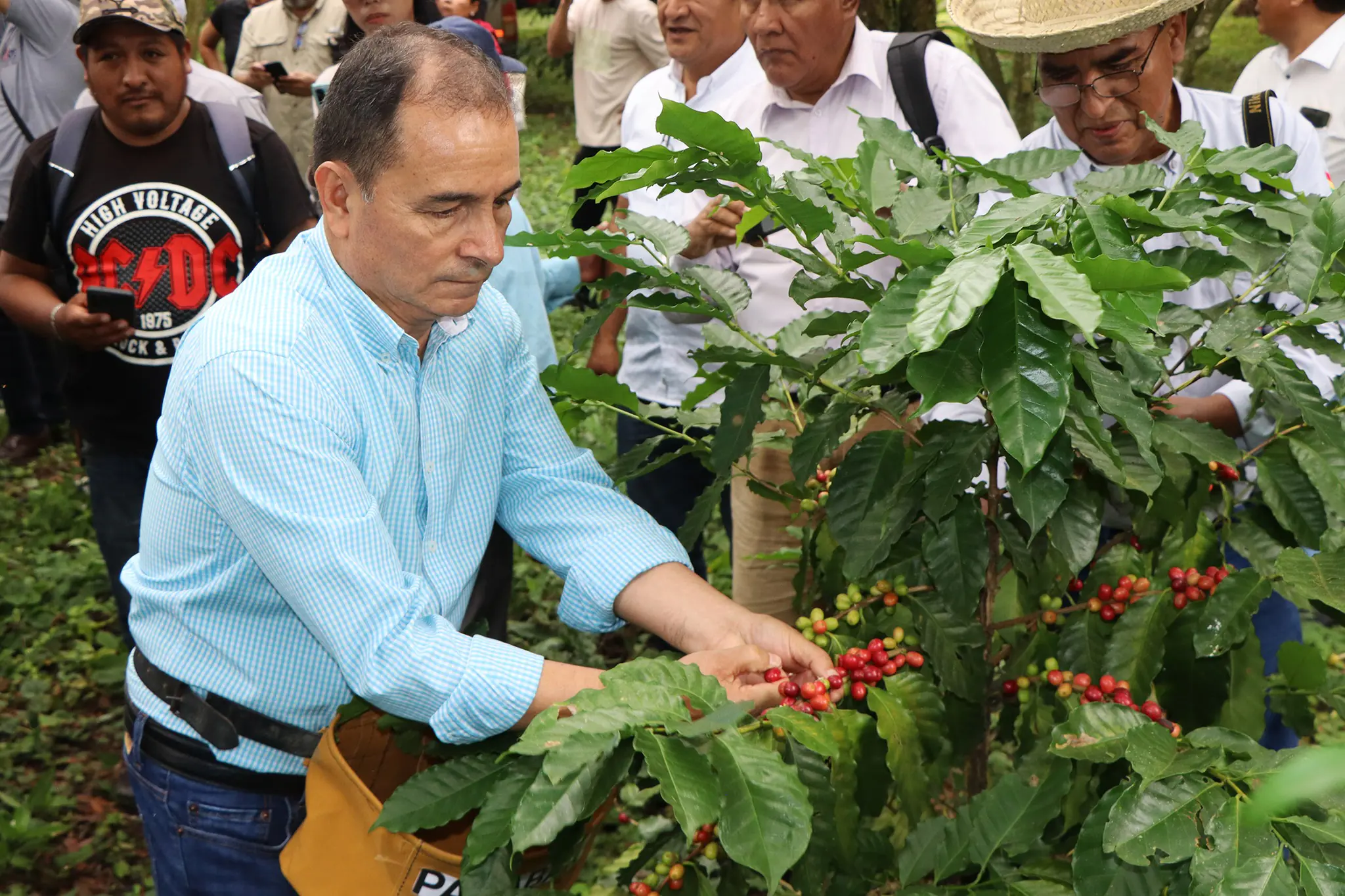 Bolivia se encamina a tercer año consecutivo de decrecimiento