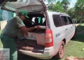 Personal del Sernap interviene la caza ilegal de un ciervo en el Parque Otuquis. FOTO: Sernap