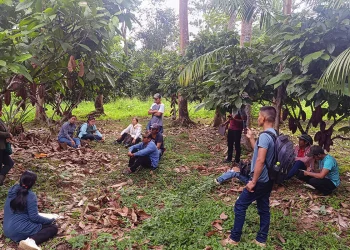 Productores del norte amazónico se declaran en emergencia por bloqueos