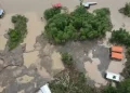 Denuncian avance de la minería ilegal en el Parque Madidi