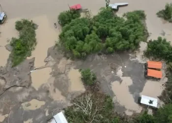 Denuncian avance de la minería ilegal en el Parque Madidi
