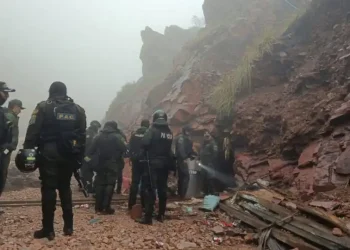 La AJAM plantea crear una fuerza especial contra la minería ilegal