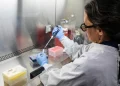 El contagio se confirmó en laboratorio/AFP