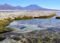 Chile aprueba proyecto en el Salar de Atacama tras 17 años de trámites