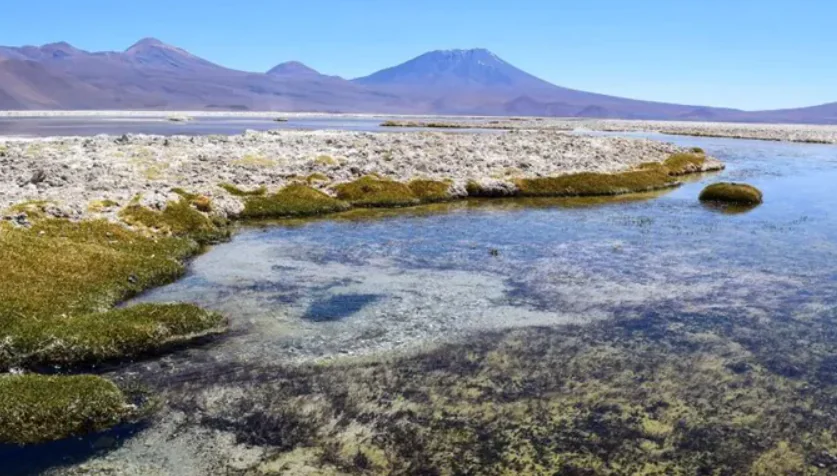 Chile aprueba proyecto en el Salar de Atacama tras 17 años de trámites