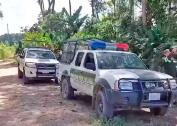 La Policía realiza operativos/Captura de video