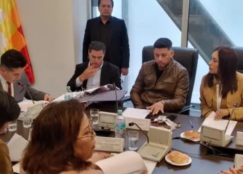 Caso Maletas: comisión de Diputados recibe informe de juez Zeballos