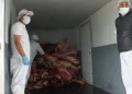 Llega nueva carga de 10.000 kilos de carne de res a La Paz
