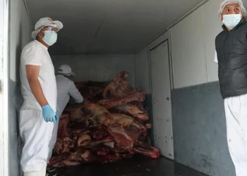 Llega nueva carga de 10.000 kilos de carne de res a La Paz