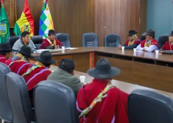 El subalcalde del Distrito 11 de El Alto será posesionado en Año Nuevo Andino