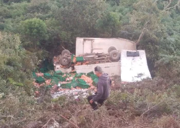 Pobladores ayudaron a sacar las cestas con carne de pollo/RRSS