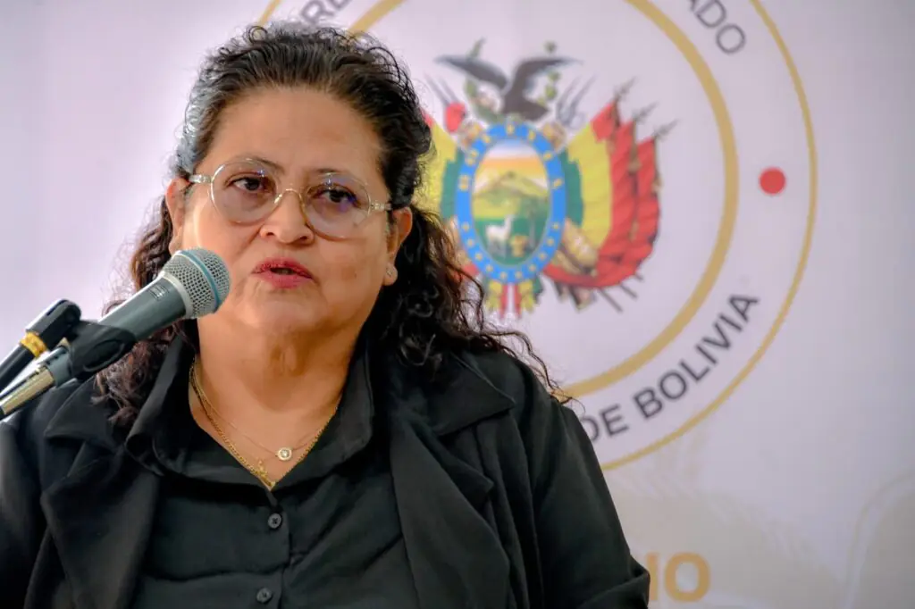 Parto de gemelos es atendido en plena carretera por bloqueos en La Paz