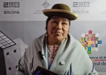 Virginia Ugarte, presidenta de Derechos Humanos de El Alto. FOTO: APDHEA