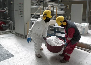 El dilema de la urea: vender caro afuera o sembrar barato adentro