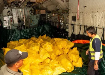 Emapa reporta que comercializó 12.000 pollos durante el fin de semana