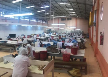 Cadexnor alerta que el cerco al norte amazónico pone en vilo a miles de familias