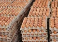 El producto comienza a escasear por los bloqueos/Archivo