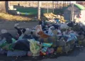 Basura acumulada debido a la suspensión de la recolección por los bloqueos. FOTO: GAMEA