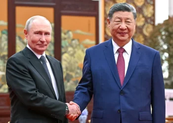 Putin y Xi ratifican una fuerte relación bilateral/AFP