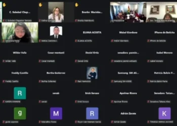 Senado instala sesión por zoom y analiza resolución por la crisis