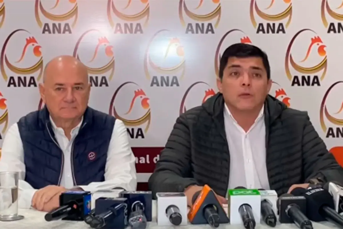 Avicultores anticipan desabastecimiento y encarecimiento del pollo