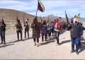 El grupo exhibe armas largas y escopetas/Captura de pantalla