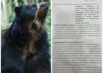 Presentan demanda contra bloqueadores por atentar contra la vida de la fauna silvestre. FOTO: RRSS