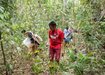 Brasil expande su economía basada en biodiversidad