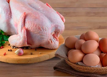 Avicultores cruceños esperan aval para exportar pollo y huevo a Chile y Perú