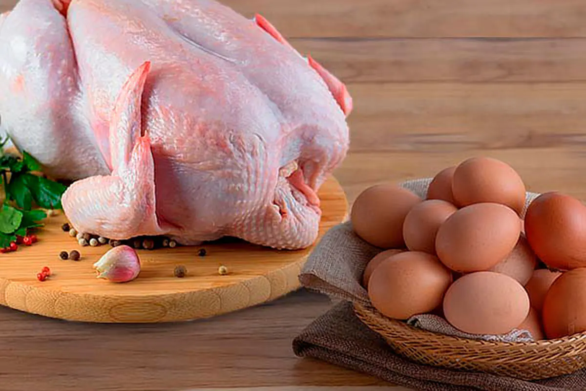 Avicultores cruceños esperan aval para exportar pollo y huevo a Chile y Perú