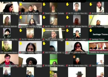 Diputados sanciona proyecto que elimina la Ley 1341