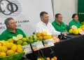 Lanzan la segunda versión de la Feria de Cítricos en Terebinto