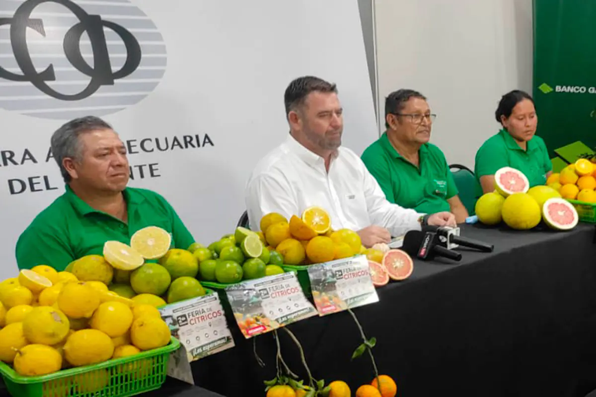 Lanzan la segunda versión de la Feria de Cítricos en Terebinto