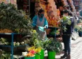 Bolivia y China firman acuerdo para promover la medicina tradicional