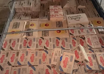 Aduana intercepta camiones que transportaban mercadería de contrabando en Tarija