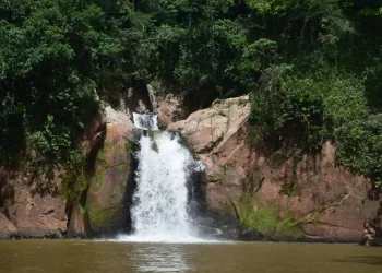 El agua, recurso estratégico: Palos Blancos protege Eva Eva