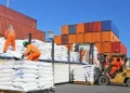 IBCE advierte de daños duraderos en las exportaciones por los bloqueos