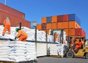 IBCE advierte de daños duraderos en las exportaciones por los bloqueos